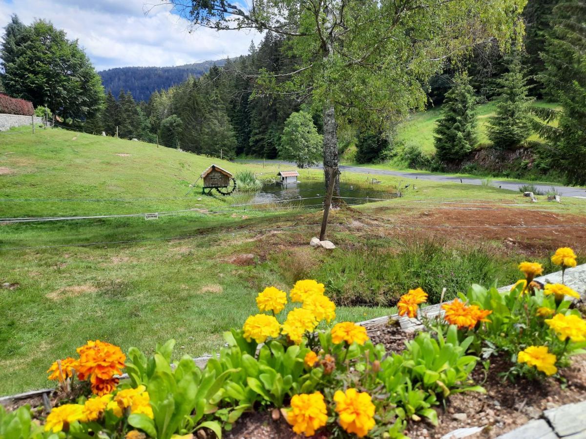 Chalet Elisa Le Valtin Zewnętrze zdjęcie